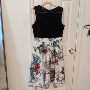 New York & Company Floral and Black Lace Dress L